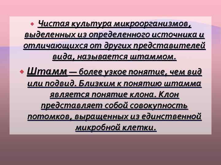 Чистая культура микроорганизмов, выделенных из определенного источника и отличающихся от других представителей вида, называется
