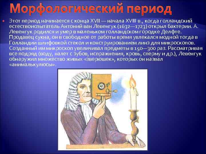 Морфологический период Этот период начинается с конца XVII — начала XVIII в. , когда