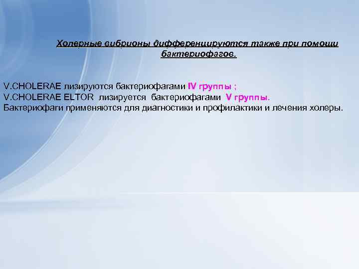 Холерные вибрионы дифференцируются также при помощи бактериофагов. V. CHOLERAE лизируются бактериофагами IV группы ;