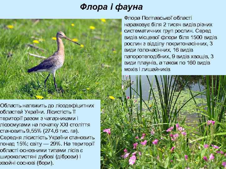 Флора і фауна Область належить до лісодефіцитних областей України. Лісистість її території разом з