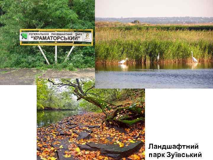 Ландшафтний парк Зуївський 