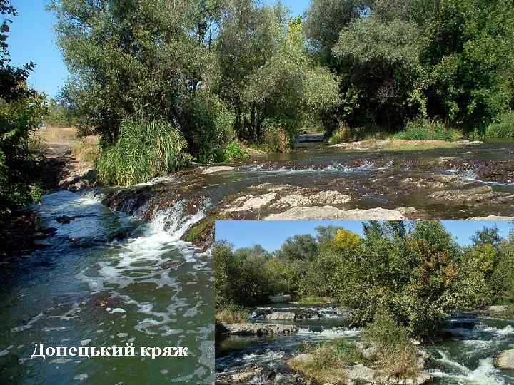 Донецький кряж 