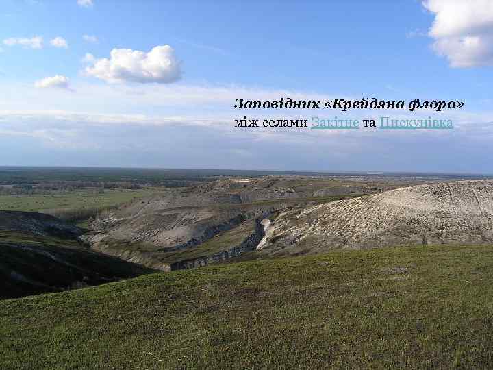 Заповідник «Крейдяна флора» між селами Закітне та Пискунівка 