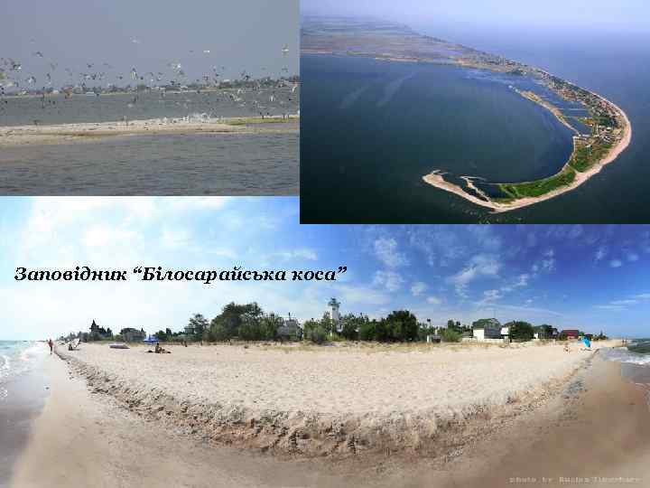 Заповідник “Білосарайська коса” 