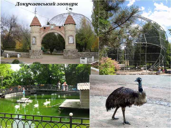 Докучаєвський зоопарк 