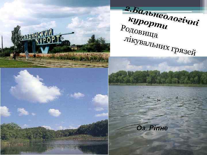 2. Бал ьнео логіч куро ні рти Родов ища лікув альни х гряз ей