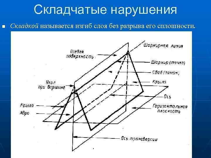 Складчатые нарушения n Складкой называется изгиб слоя без разрыва его сплошности. 