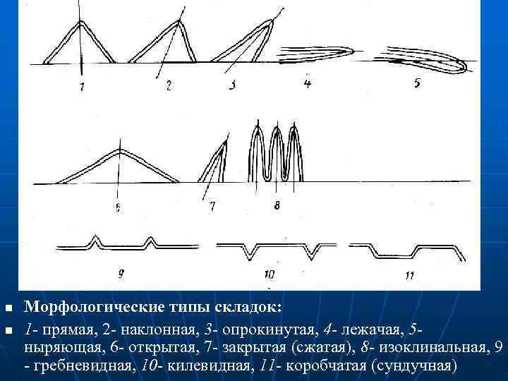 n n Морфологические типы складок: 1 - прямая, 2 - наклонная, 3 - опрокинутая,