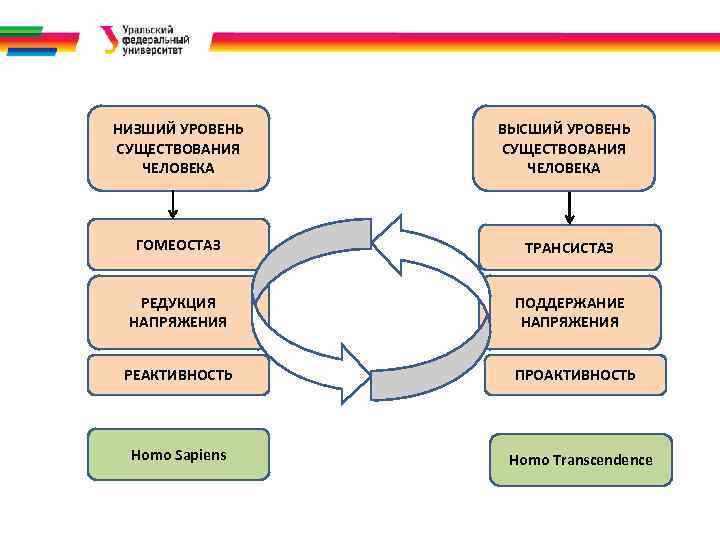 . НИЗШИЙ УРОВЕНЬ СУЩЕСТВОВАНИЯ ЧЕЛОВЕКА ВЫСШИЙ УРОВЕНЬ СУЩЕСТВОВАНИЯ ЧЕЛОВЕКА ГОМЕОСТАЗ ТРАНСИСТАЗ РЕДУКЦИЯ НАПРЯЖЕНИЯ ПОДДЕРЖАНИЕ