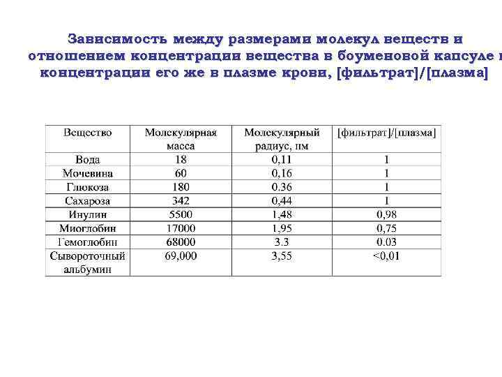 Зависимость между размерами молекул веществ и отношением концентрации вещества в боуменовой капсуле к концентрации