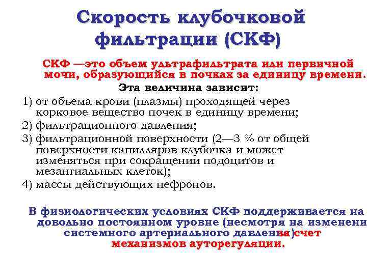 Скорость клубочковой фильтрации (СКФ) 1) 2) 3) 4) СКФ —это объем ультрафильтрата или первичной