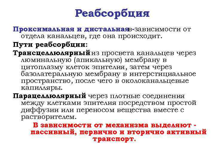 Реабсорбция Проксимальная и дистальная -зависимости от в отдела канальцев, где она происходит. Пути реабсорбции: