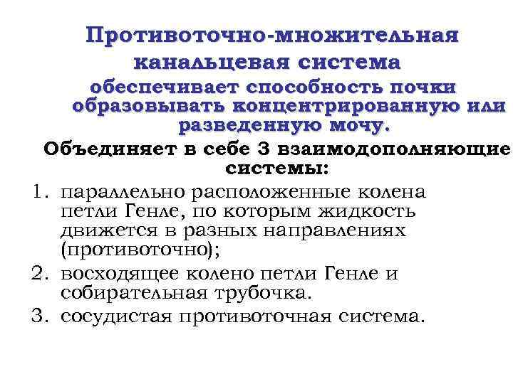 Противоточно-множительная канальцевая система обеспечивает способность почки образовывать концентрированную или разведенную мочу. Объединяет в себе