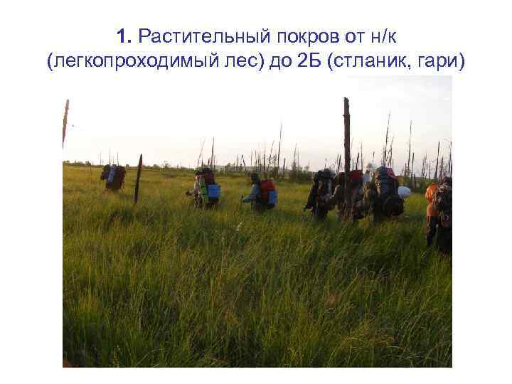 1. Растительный покров от н/к (легкопроходимый лес) до 2 Б (стланик, гари) 