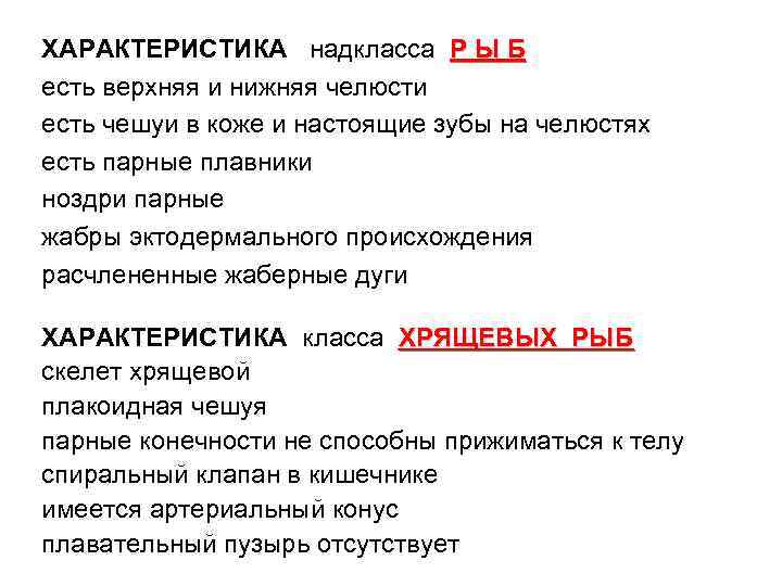 ХАРАКТЕРИСТИКА надкласса Р Ы Б есть верхняя и нижняя челюсти есть чешуи в коже
