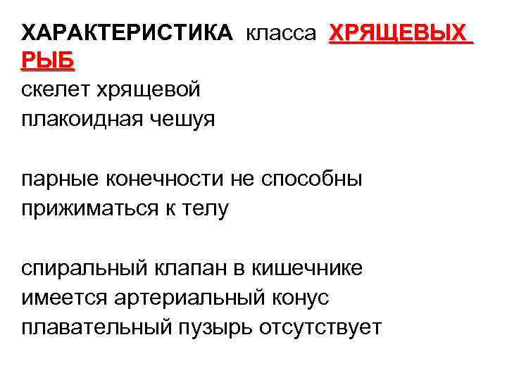 ХАРАКТЕРИСТИКА класса ХРЯЩЕВЫХ РЫБ скелет хрящевой плакоидная чешуя парные конечности не способны прижиматься к