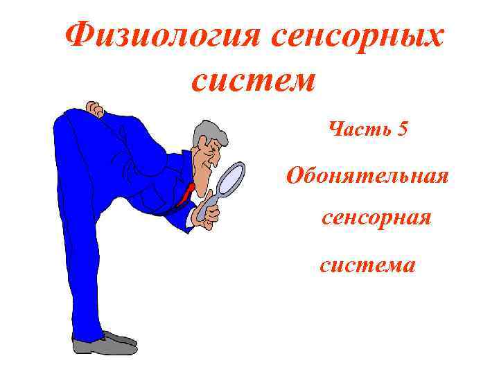 Физиология сенсорных систем Часть 5 Обонятельная сенсорная система 