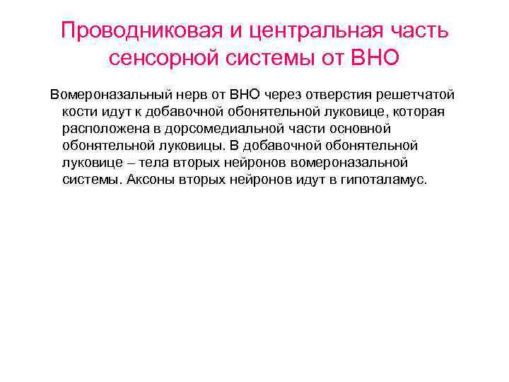 Проводниковая и центральная часть сенсорной системы от ВНО Вомероназальный нерв от ВНО через отверстия
