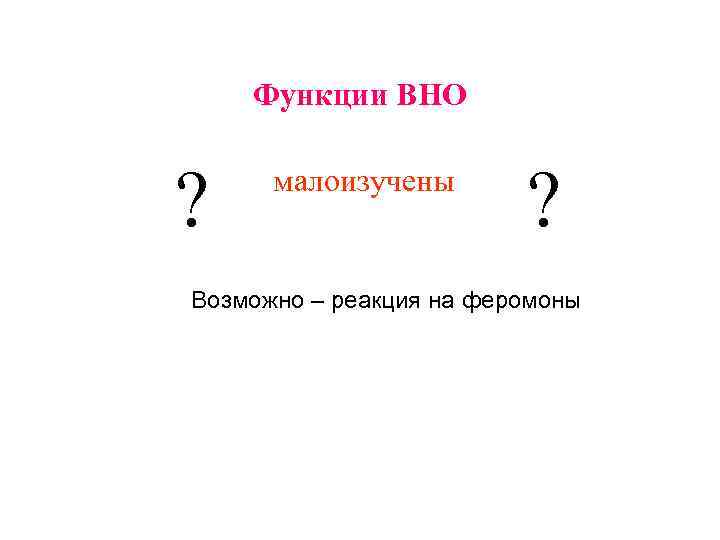 Функции ВНО ? малоизучены ? Возможно – реакция на феромоны 