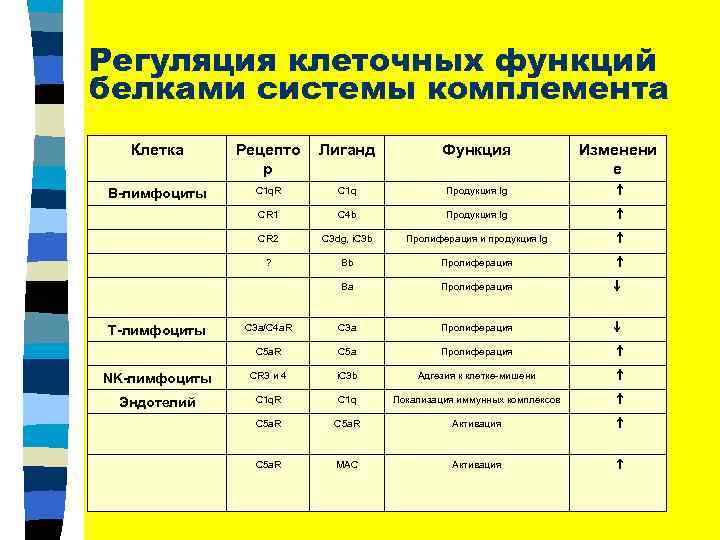 Регуляция клеточных функций белками системы комплемента Клетка Рецепто р Лиганд Функция В-лимфоциты С 1