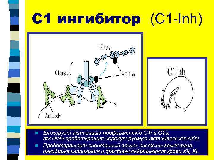 С ингибитор низкий