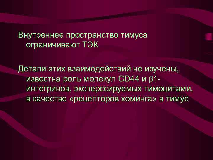 Внутреннее пространство тимуса ограничивают ТЭК Детали этих взаимодействий не изучены, известна роль молекул CD