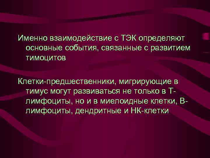Именно взаимодействие с ТЭК определяют основные события, связанные с развитием тимоцитов Клетки-предшественники, мигрирующие в