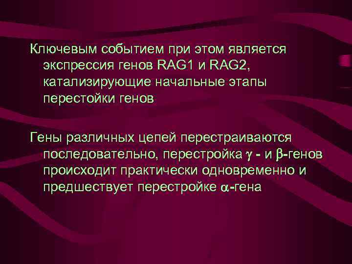 Ключевым событием при этом является экспрессия генов RAG 1 и RAG 2, катализирующие начальные
