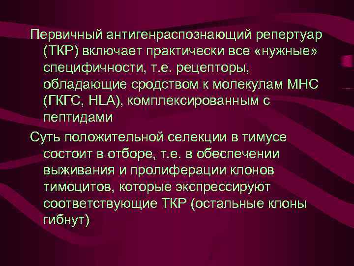 Первичный антигенраспознающий репертуар (ТКР) включает практически все «нужные» специфичности, т. е. рецепторы, обладающие сродством