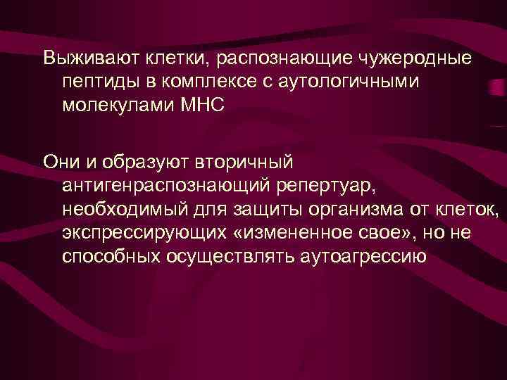 Выживают клетки, распознающие чужеродные пептиды в комплексе с аутологичными молекулами МНС Они и образуют