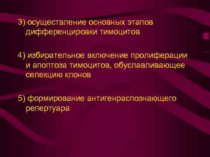 3) осуществление основных этапов дифференцировки тимоцитов 4) избирательное включение пролиферации и апоптоза тимоцитов, обуславливающее