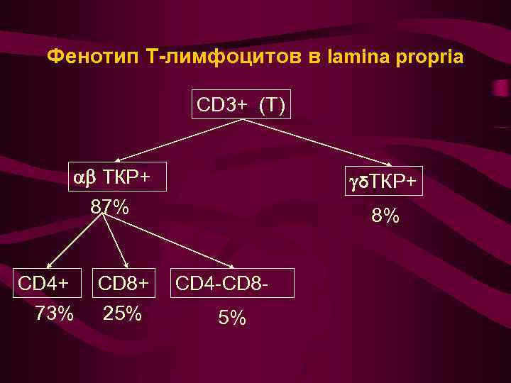 Фенотип Т-лимфоцитов в lamina propria CD 3+ (Т) ТКР+ δТКР+ 87% 8% CD 4+