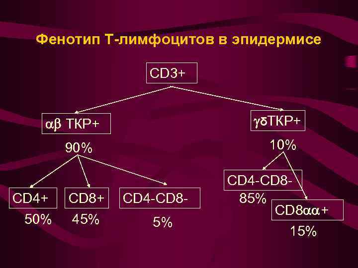 Фенотип Т-лимфоцитов в эпидермисе CD 3+ δТКР+ 10% 90% CD 4+ 50% CD 8+
