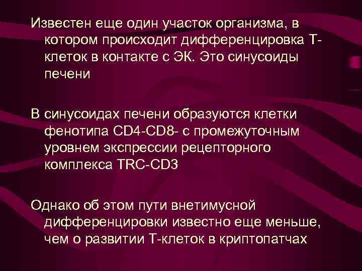 Известен еще один участок организма, в котором происходит дифференцировка Тклеток в контакте с ЭК.