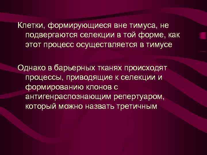 Клетки, формирующиеся вне тимуса, не подвергаются селекции в той форме, как этот процесс осуществляется