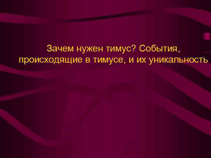 Зачем нужен тимус? События, происходящие в тимусе, и их уникальность 