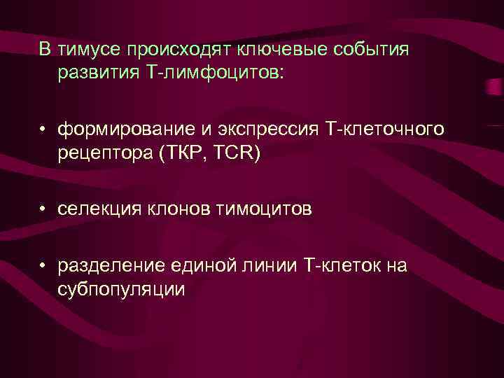 В тимусе происходят ключевые события развития Т-лимфоцитов: • формирование и экспрессия Т-клеточного рецептора (ТКР,