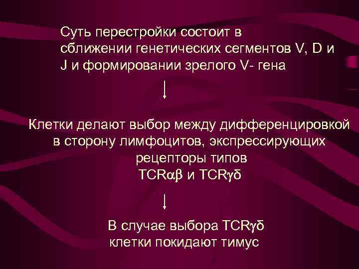 Суть перестройки состоит в сближении генетических сегментов V, D и J и формировании зрелого