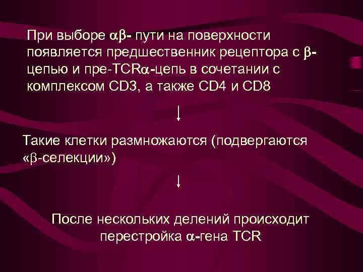 При выборе - пути на поверхности появляется предшественник рецептора с цепью и пре-TCR -цепь