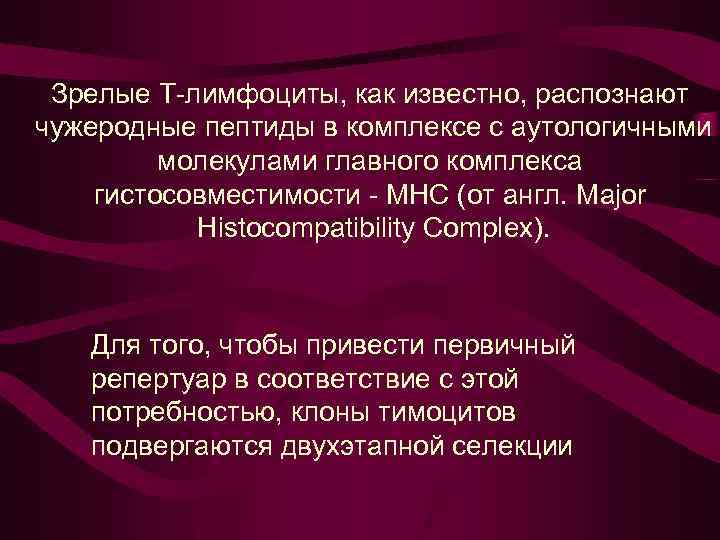 Зрелые Т-лимфоциты, как известно, распознают чужеродные пептиды в комплексе с аутологичными молекулами главного комплекса