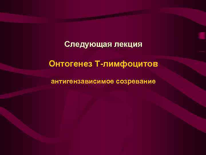 Следующая лекция Онтогенез Т-лимфоцитов антигензависимое созревание 