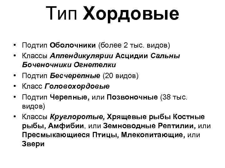 Тип Хордовые • Подтип Оболочники (более 2 тыс. видов) • Классы Аппендикулярии Асцидии Сальны
