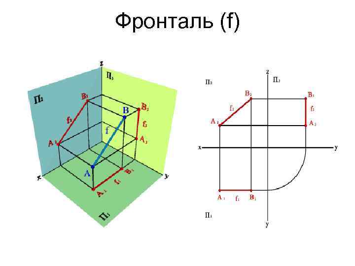 Фронталь