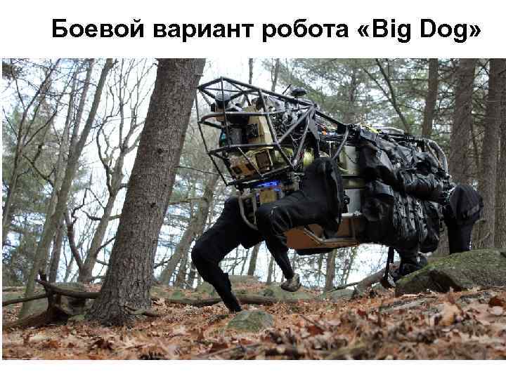 Боевой вариант робота «Big Dog» 