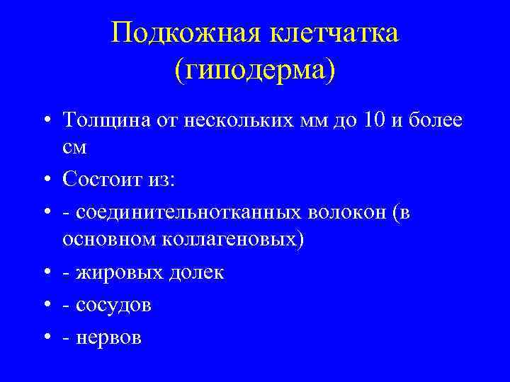 Подкожная клетчатка (гиподерма) • Толщина от нескольких мм до 10 и более см •
