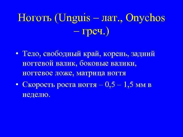 Ноготь (Unguis – лат. , Onychos – греч. ) • Тело, свободный край, корень,
