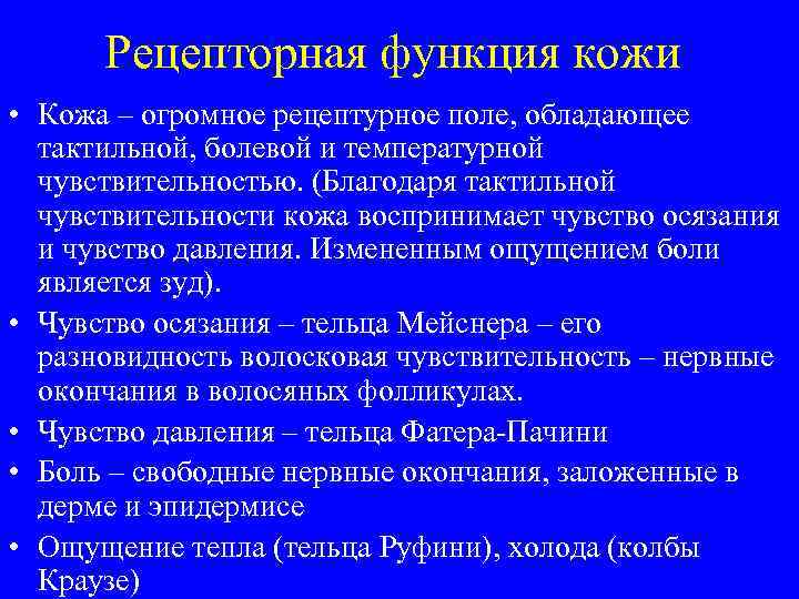 Рецепторная функция кожи • Кожа – огромное рецептурное поле, обладающее тактильной, болевой и температурной