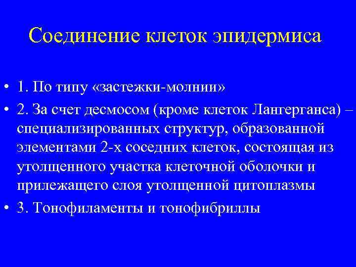 Соединение клеток эпидермиса • 1. По типу «застежки-молнии» • 2. За счет десмосом (кроме