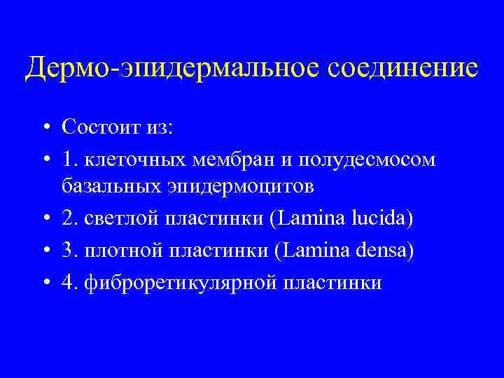 Дермо-эпидермальное соединение • Состоит из: • 1. клеточных мембран и полудесмосом базальных эпидермоцитов •