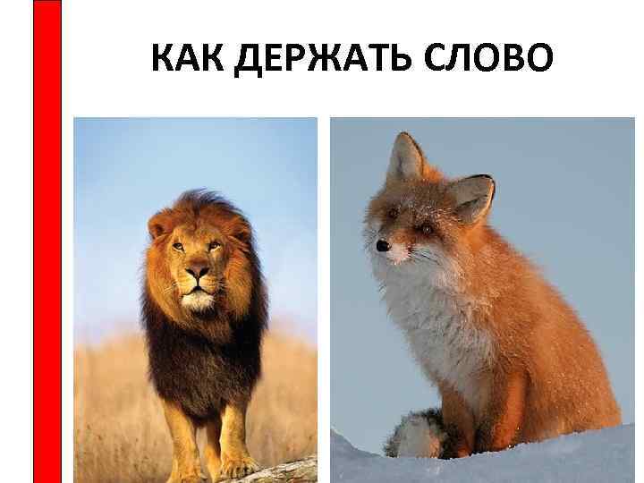 КАК ДЕРЖАТЬ СЛОВО 